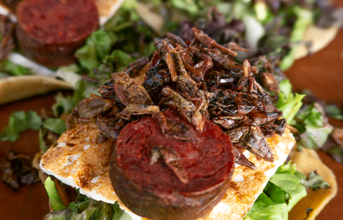 Trilogía de tostadas